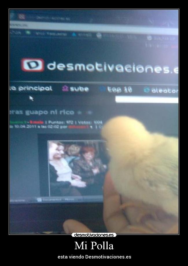 Mi Polla - esta viendo Desmotivaciones.es