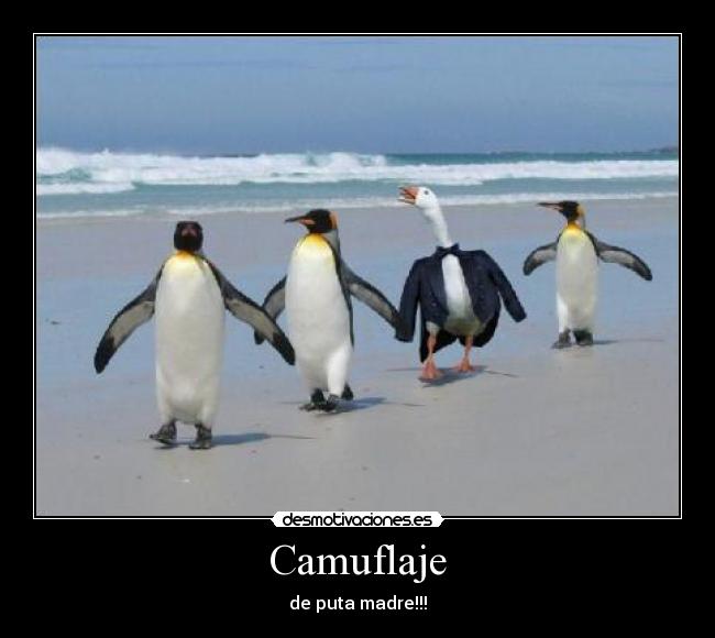 Camuflaje - de puta madre!!!