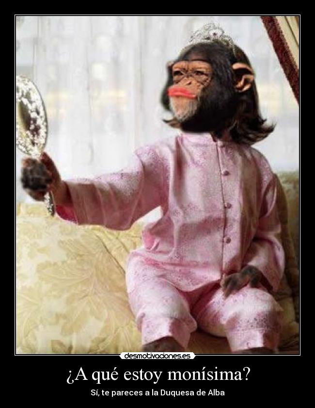¿A qué estoy monísima? - Sí, te pareces a la Duquesa de Alba