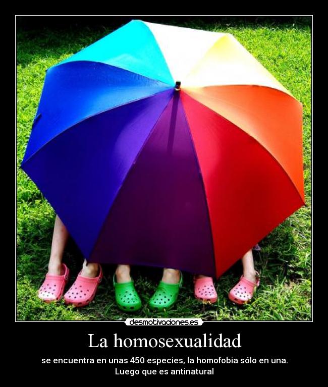 La homosexualidad -