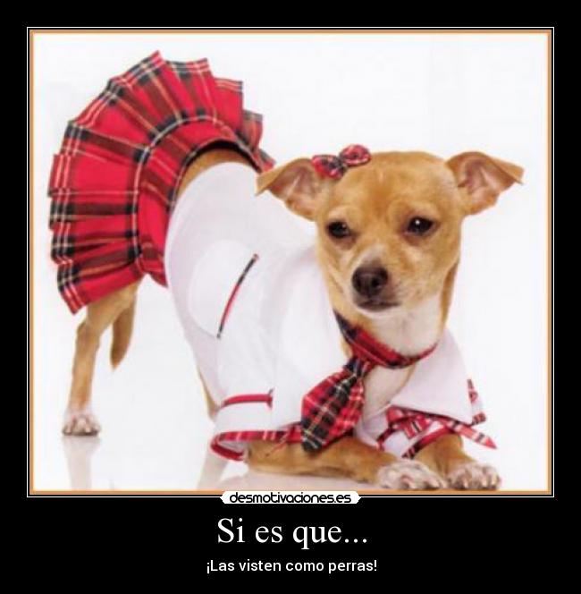 Si es que... - ¡Las visten como perras!