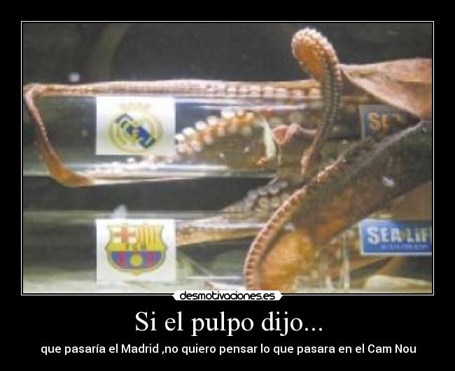 Si el pulpo dijo... -