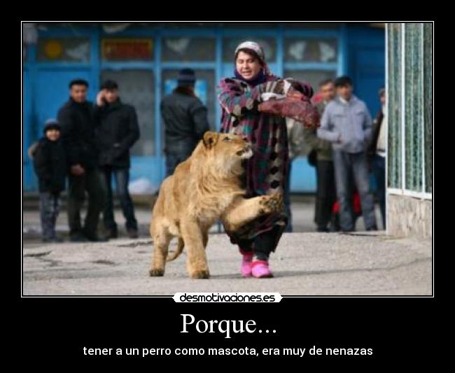 Porque... -
