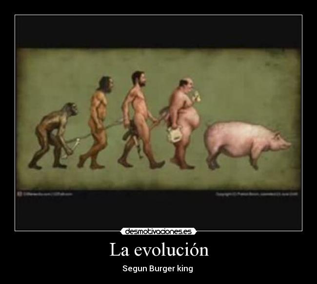 carteles evolucion desmotivaciones