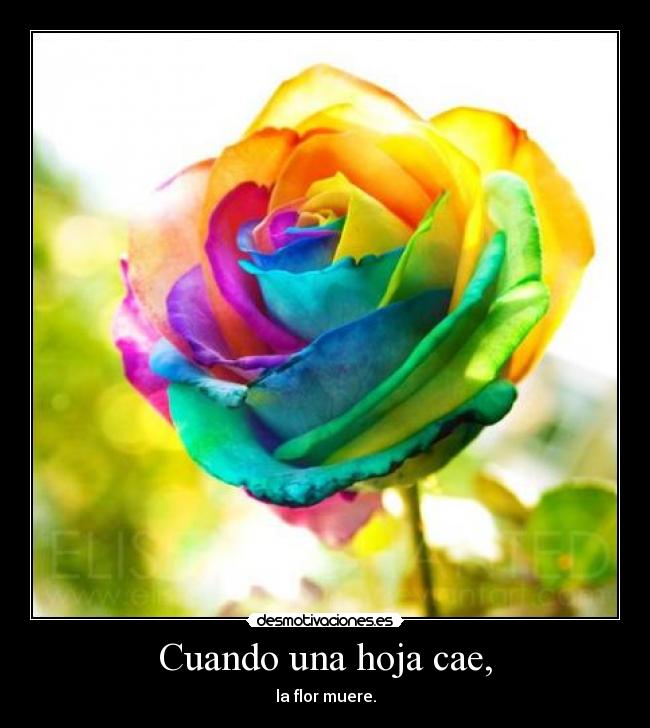 Cuando una hoja cae, -