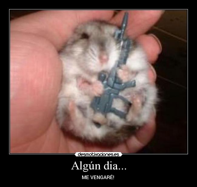 Algún dia... - ME VENGARÉ! 