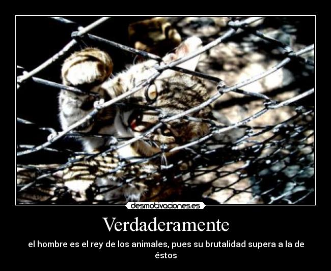 Verdaderamente -