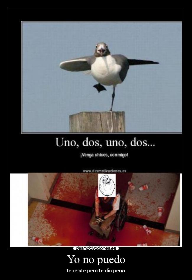 Yo no puedo - Te reíste pero te dio pena