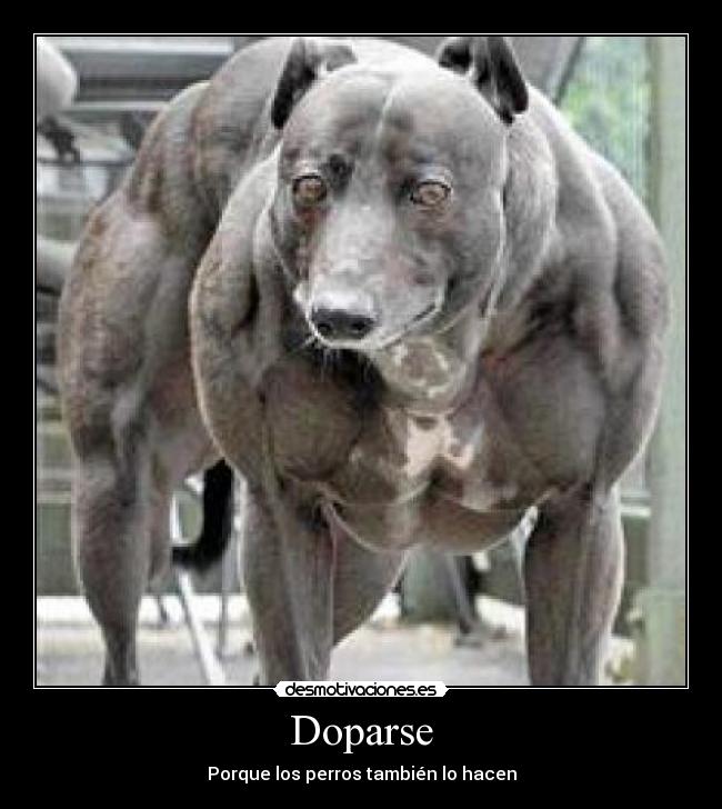 Doparse - Porque los perros también lo hacen