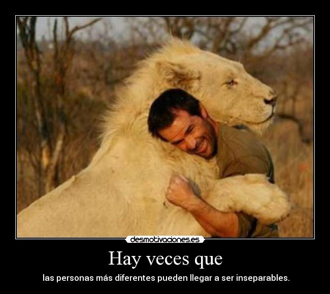 Hay veces que -  las personas más diferentes pueden llegar a ser inseparables.
