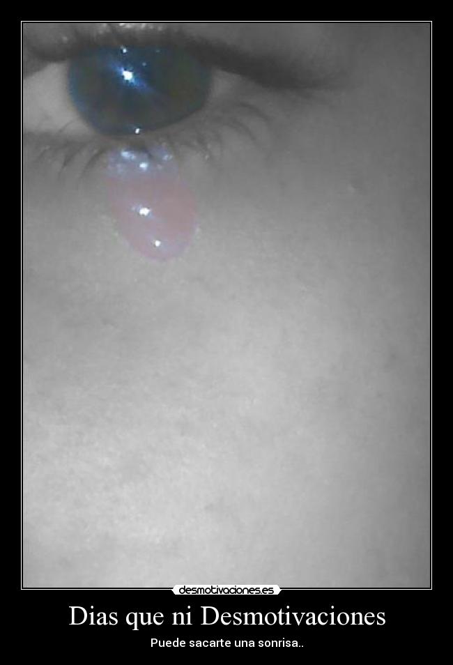 Dias que ni Desmotivaciones - 