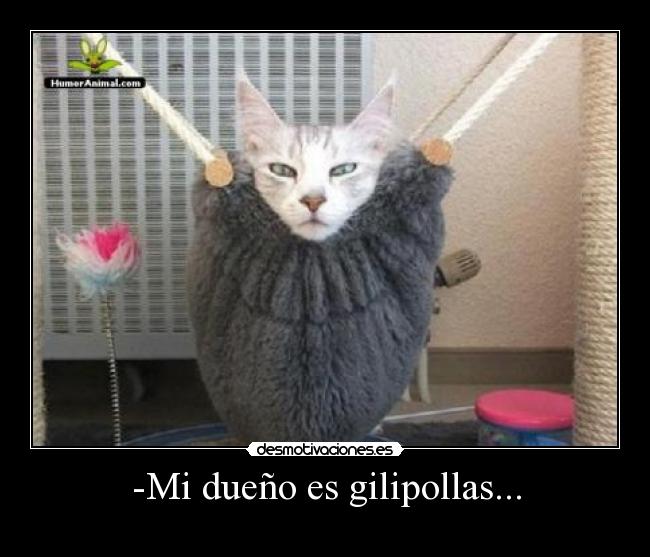 -Mi dueño es gilipollas... -