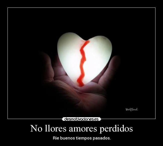 No llores amores perdidos -