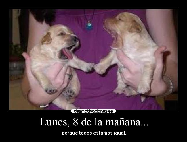 Lunes, 8 de la mañana... - porque todos estamos igual.