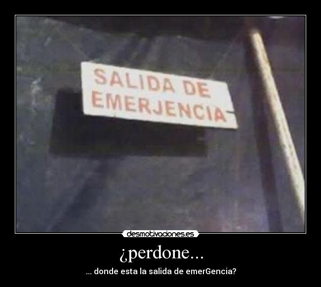 ¿perdone... -