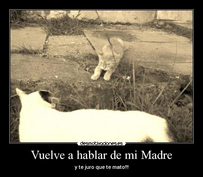 Vuelve a hablar de mi Madre - 