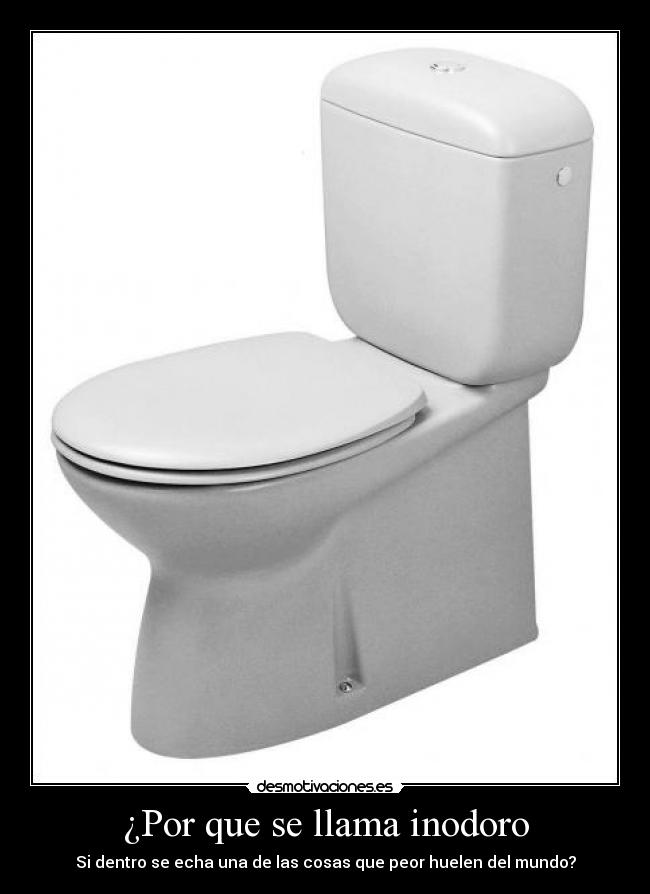 ¿Por que se llama inodoro - 