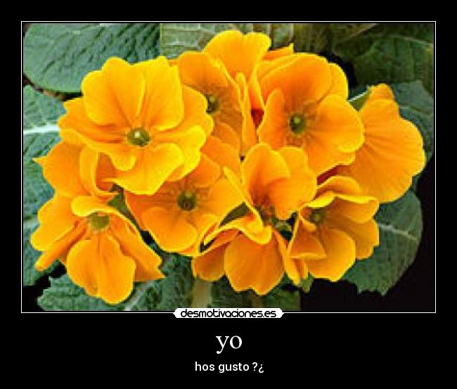 carteles jojojoj desmotivaciones