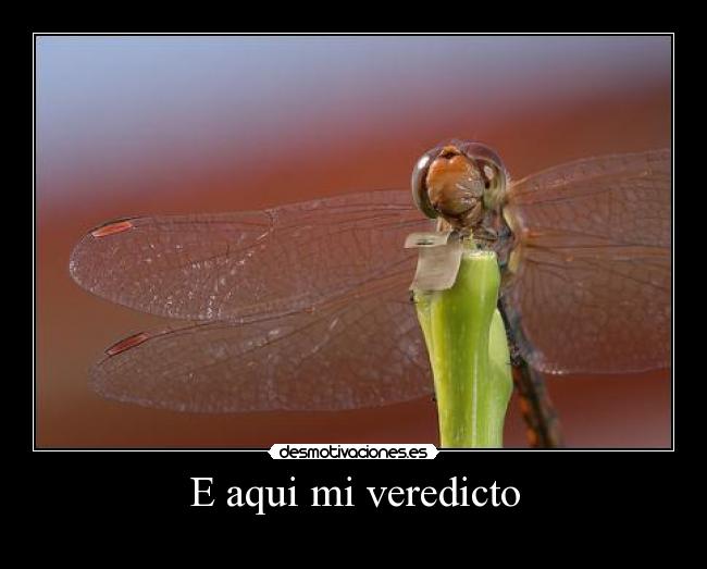 E aqui mi veredicto -