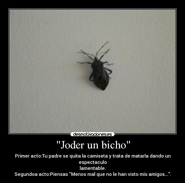 Joder un bicho -
