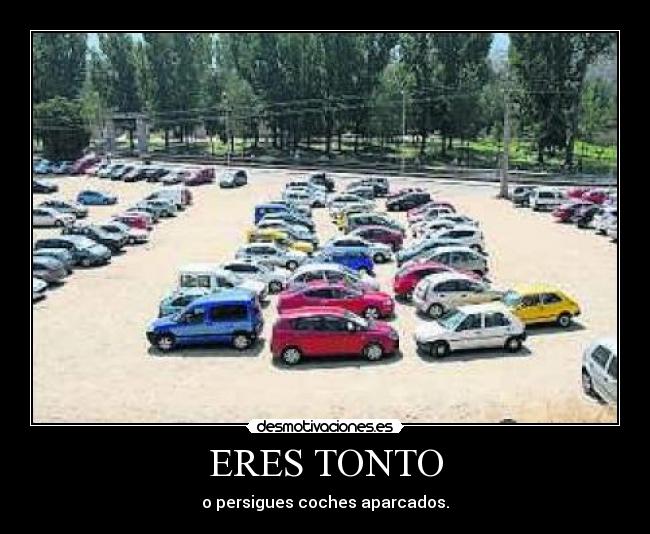 ERES TONTO - o persigues coches aparcados.