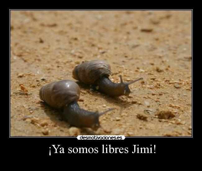 ¡Ya somos libres Jimi! -