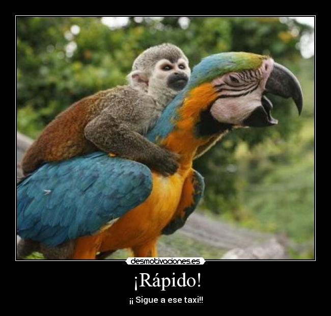 ¡Rápido! -
