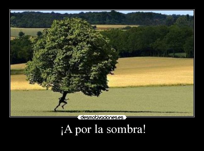 ¡A por la sombra! -