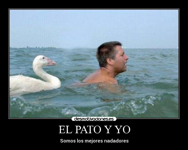 EL PATO Y YO - Somos los mejores nadadores