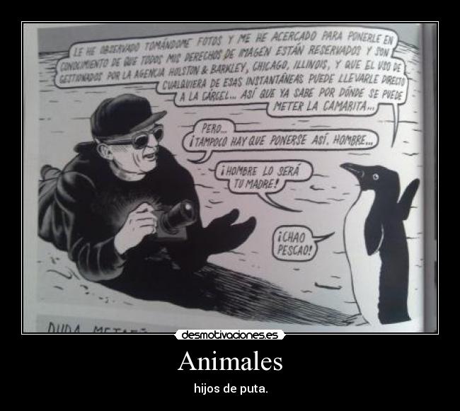 carteles animales animales sinde hijos puta pescao fotos derechos camara desmotivaciones