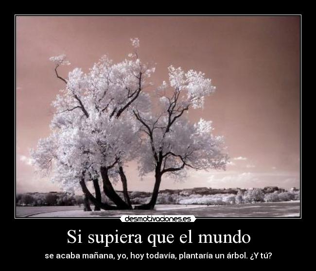 Si supiera que el mundo -