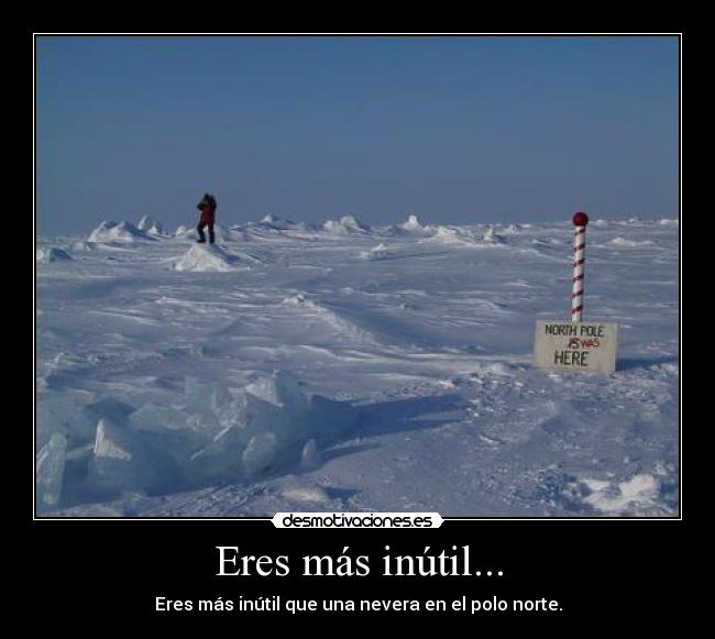 carteles polo desmotivaciones