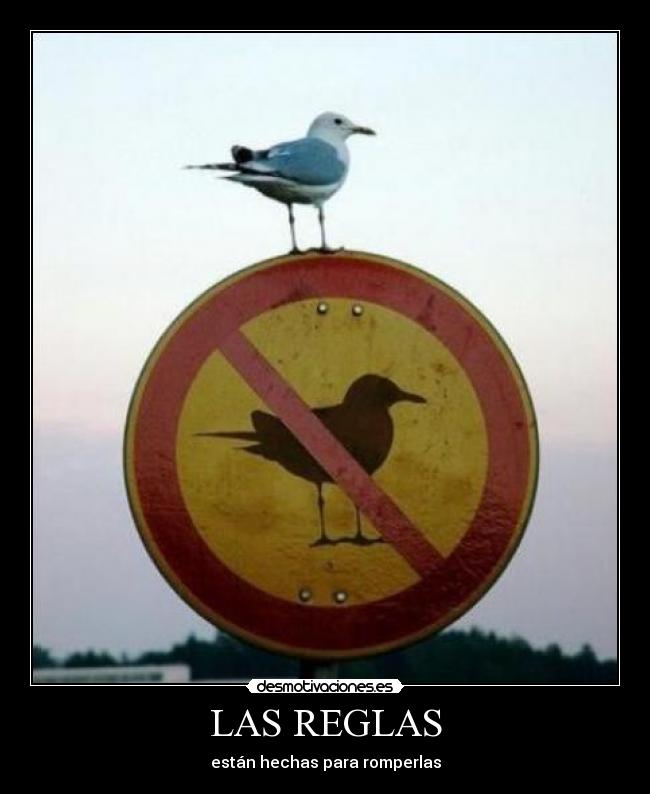 LAS REGLAS - están hechas para romperlas