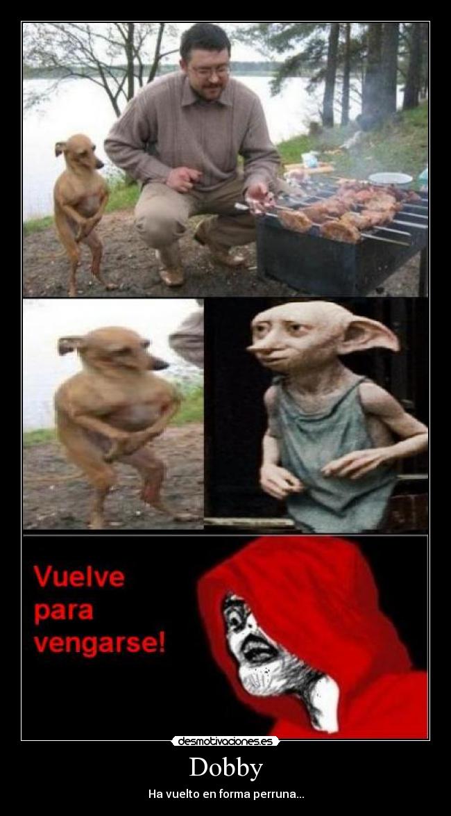 Dobby - 