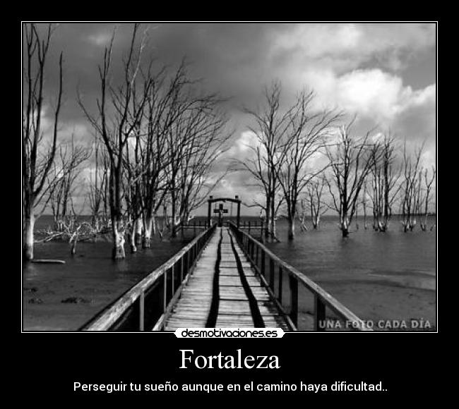 Fortaleza - Perseguir tu sueño aunque en el camino haya dificultad..