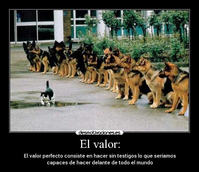 El valor: - El valor perfecto consiste en hacer sin testigos lo que seríamos
capaces de hacer delante de todo el mundo