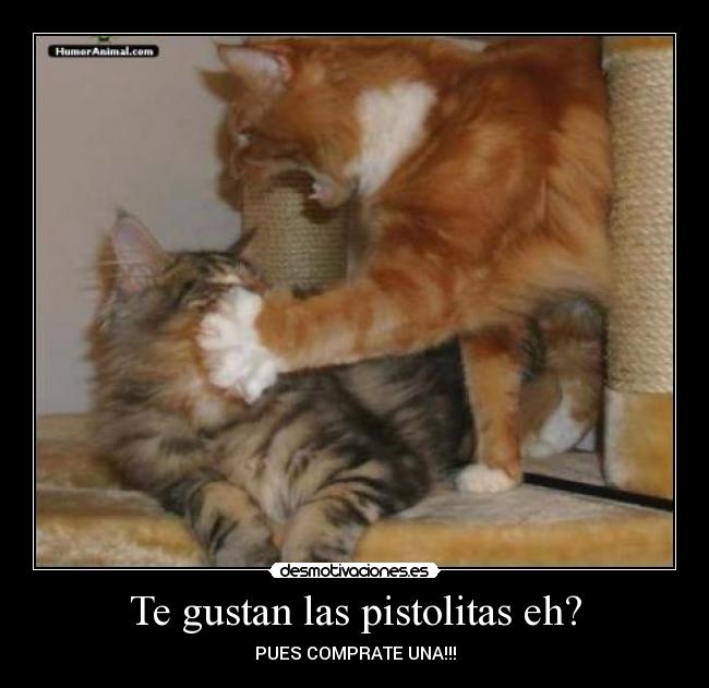Te gustan las pistolitas eh? -