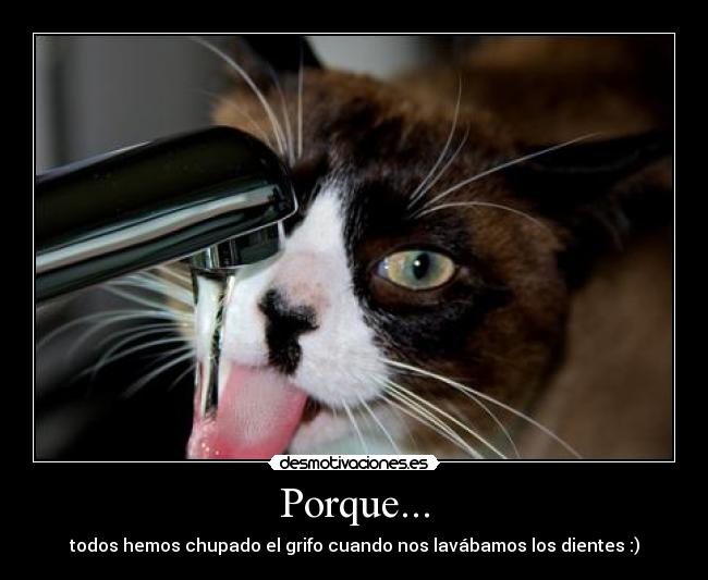 Porque... -