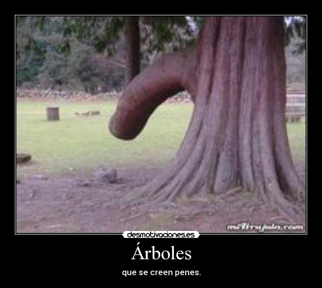 Árboles -