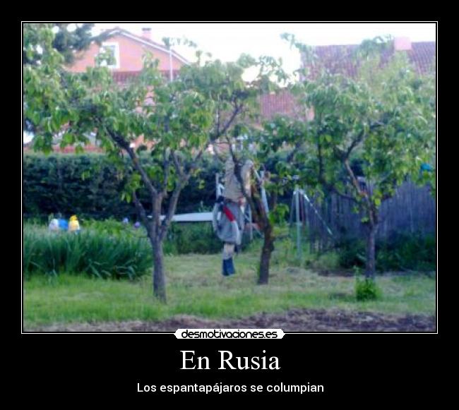 En Rusia - Los espantapájaros se columpian