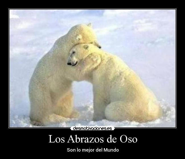 Los Abrazos de Oso - Son lo mejor del Mundo