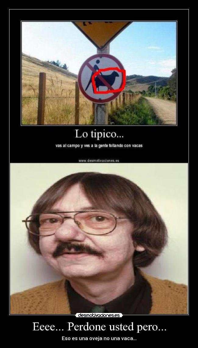 carteles perdone usted pero desmotivaciones