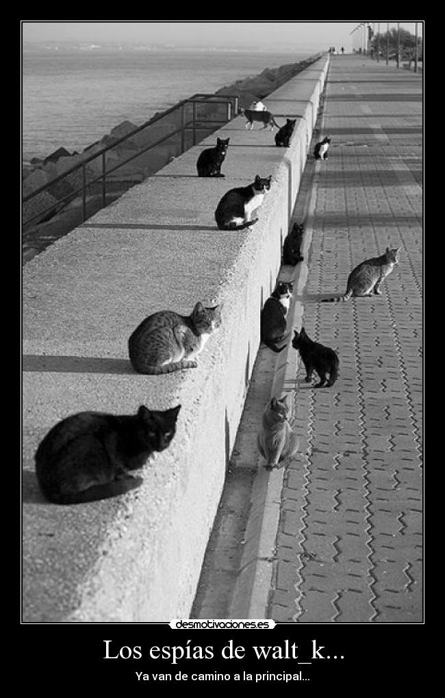 carteles los espias desmotivaciones