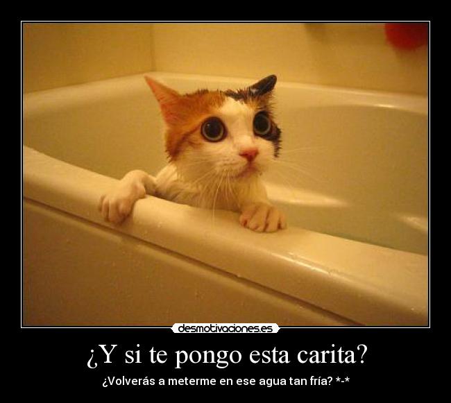 ¿Y si te pongo esta carita? -