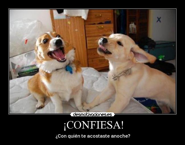 ¡CONFIESA! - 