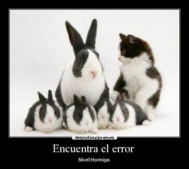 carteles verdad desmotivaciones