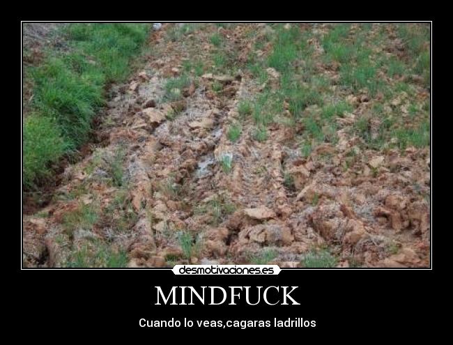 MINDFUCK -