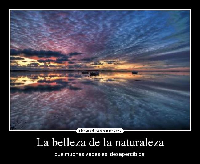 La belleza de la naturaleza - 
