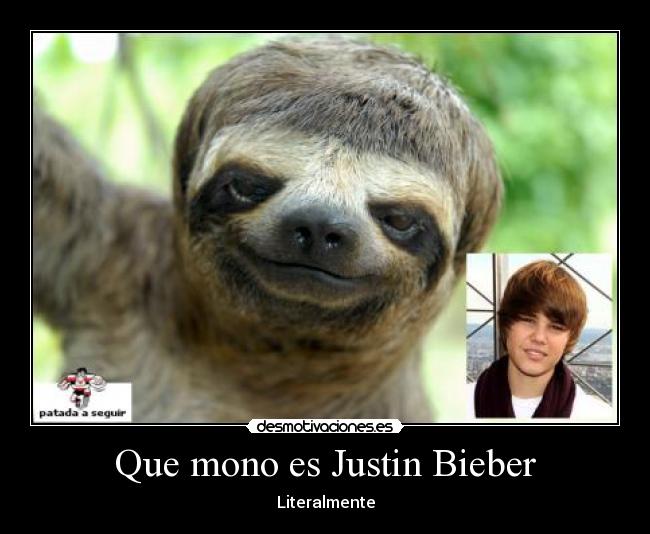 Que mono es Justin Bieber - Literalmente