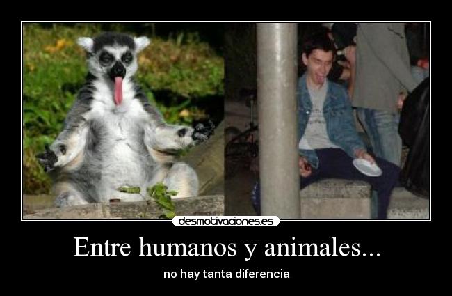 Entre humanos y animales... - 